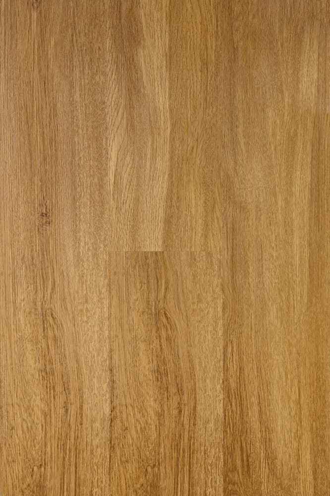 Canadian Design Dry Back HAMILTON 2/31